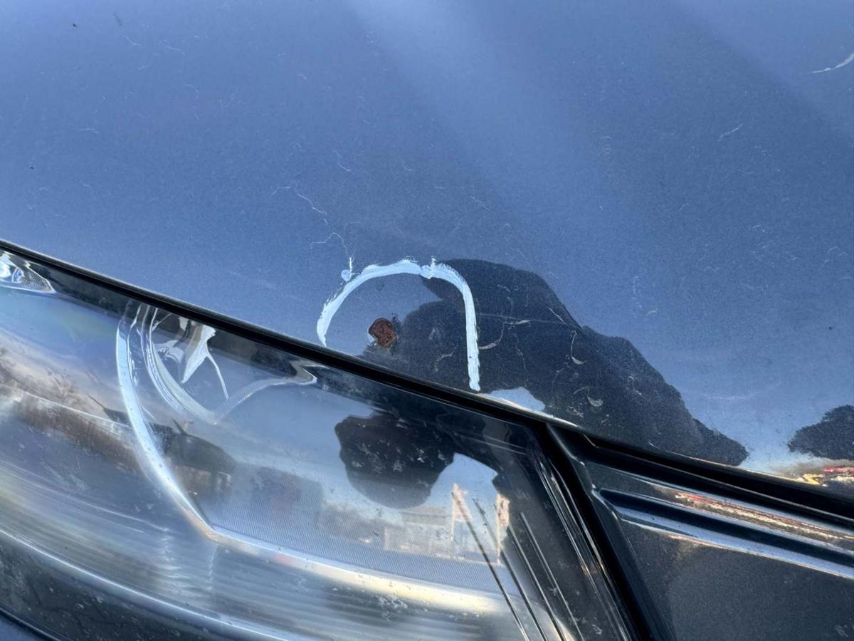 Audi A3 8P original Motorhaube LZ7H Meteorgrau Perleffekt Facelift Bj.2011